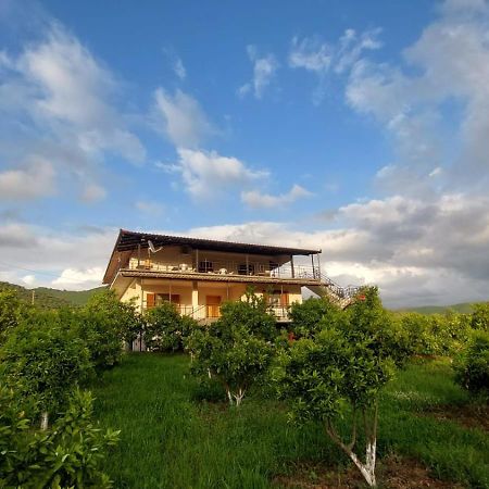 Guest House Xhaferaj 培拉特 外观 照片